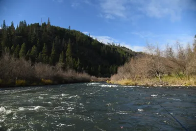 DSC_0236 (Large).JPG